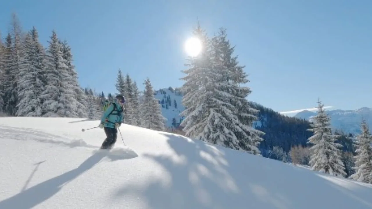 iQOO Z9 camera test daylight sample official photo showing sharp details